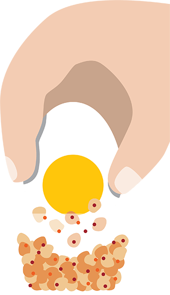 Eggs Reimagined
